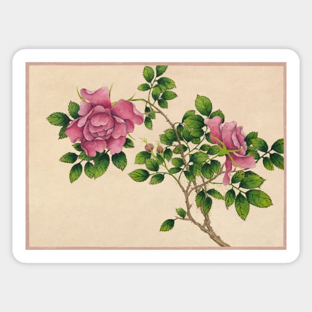 Rose (18th Century) painting by Zhang Ruoai. Original from The Cleveland Museum of Art Sticker by T-SHIRT-2020